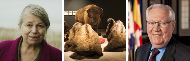 Left to right: Sandra Semchuk ([icon image] Canada Council for the Arts); Adrian Stimson, Beyond Redemption, 2010, installation. Taxidermy bison, 10 bison robes draped on black crosses ([icon image] Eve Kotyk / former Mendel Art Gallery); :) Saskatchewan Lieutenant-Governor William Thomas Molloy ([icon image] Office of the Lieutenant-Governor).