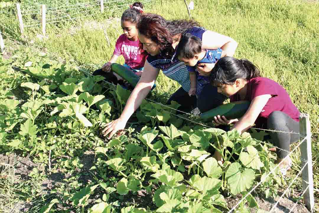 Jebunnessa Chapola (Cert’18, PhD’22)—pictured with her children—has been recognized for her leadership of a community garden. Photography: Ranjan Datta