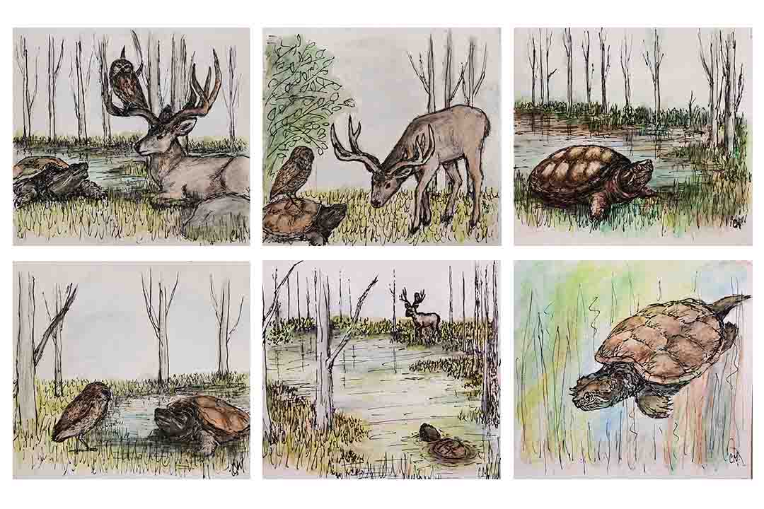 Images from a storybook of three woodland animals, inspired by the relationships Claire had with two of her close friends. Illustrated by Claire Mueller
