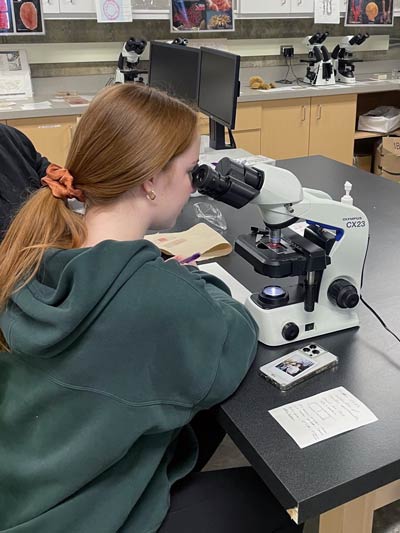 Student Katrine Bischoff examines sheep erythrocytes under a microscope at the Prince Albert USask campus. (Photography: submitted)