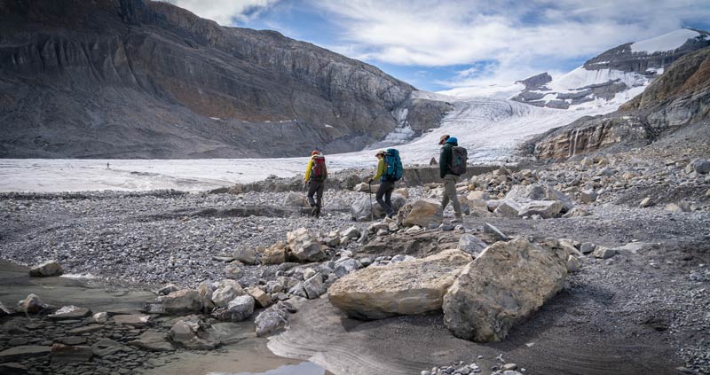 Researchers hike to Peyto Glacier in Alberta. (Photography: Mark Ferguson)