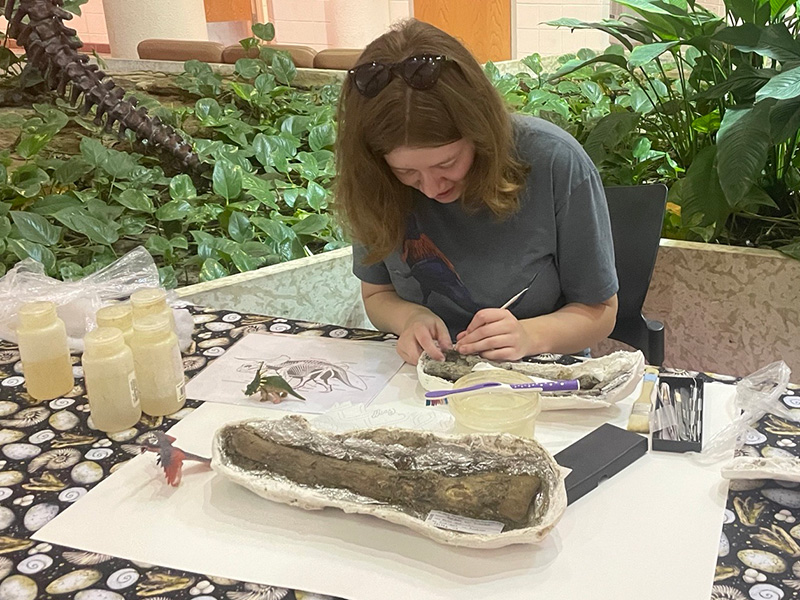 discovery table 1