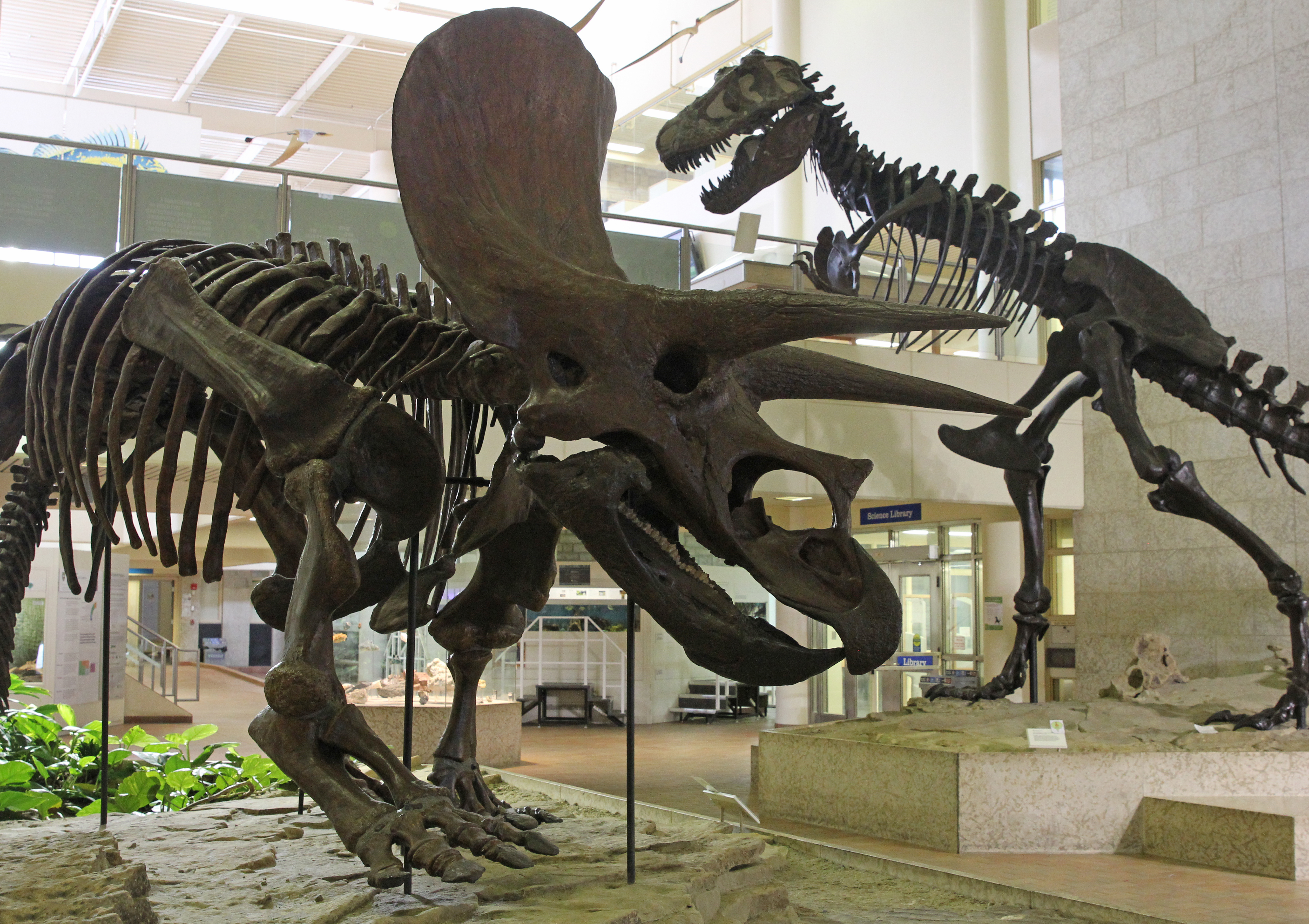 Home - Museum of Natural Sciences | University of Saskatchewan