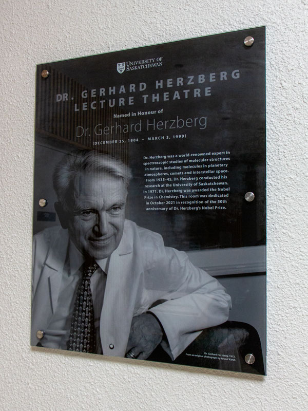 Herzberg plaque