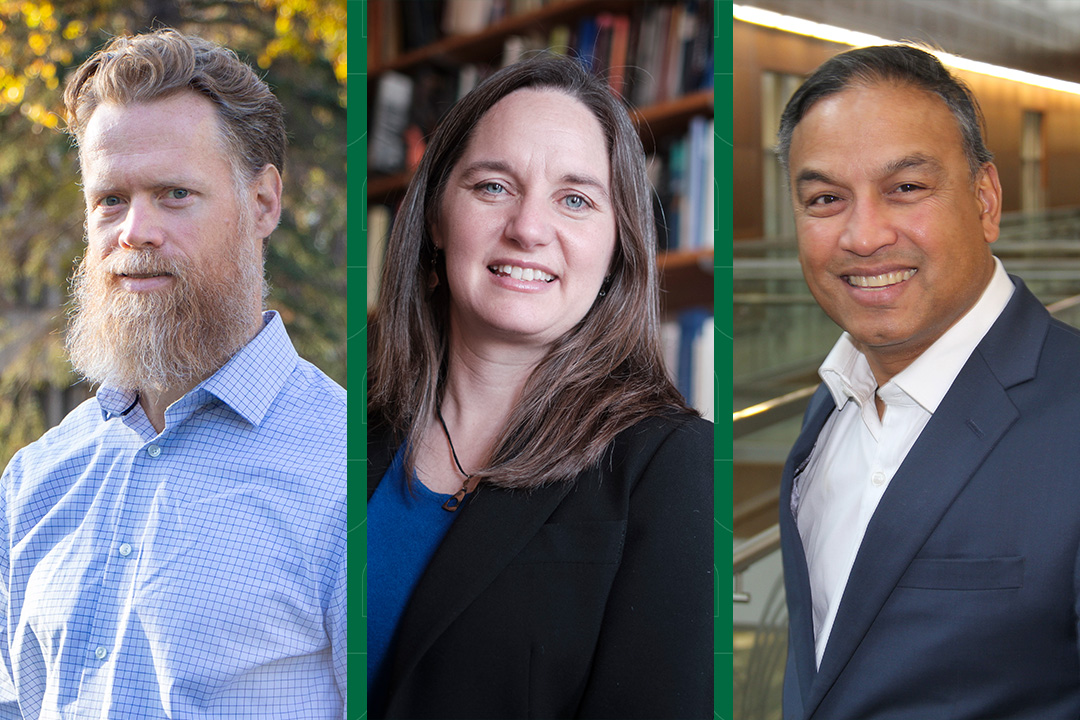 Publicly Engaged Scholar Team