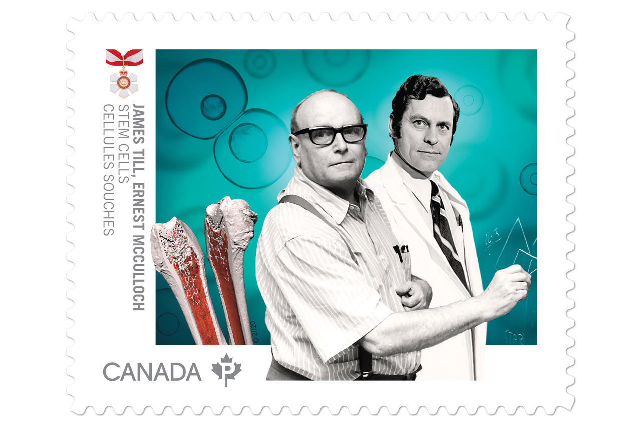 A Canada Post stamp pays tribute to medical research pioneer Dr. James Till (BA'52, MA'54, DSc'08). (Image from Canada Post)