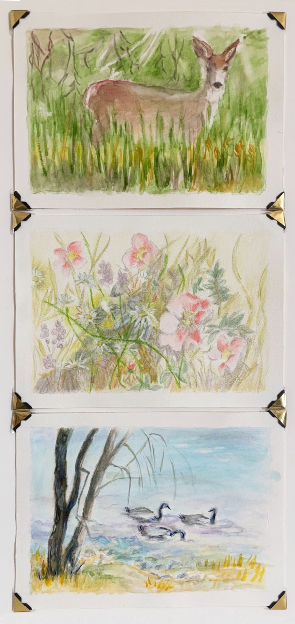 Bits of Nature