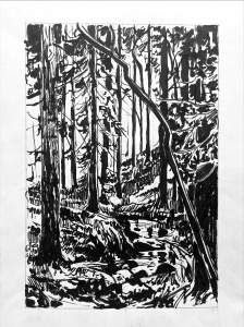 illustrated forest