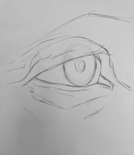 Drawing 8