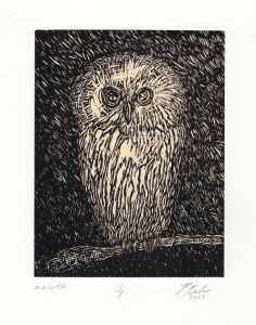 block print of an owl